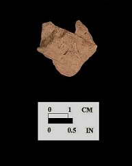 Minguannan body sherd exterior (1 of 3) from Perry Point site 18CE256.